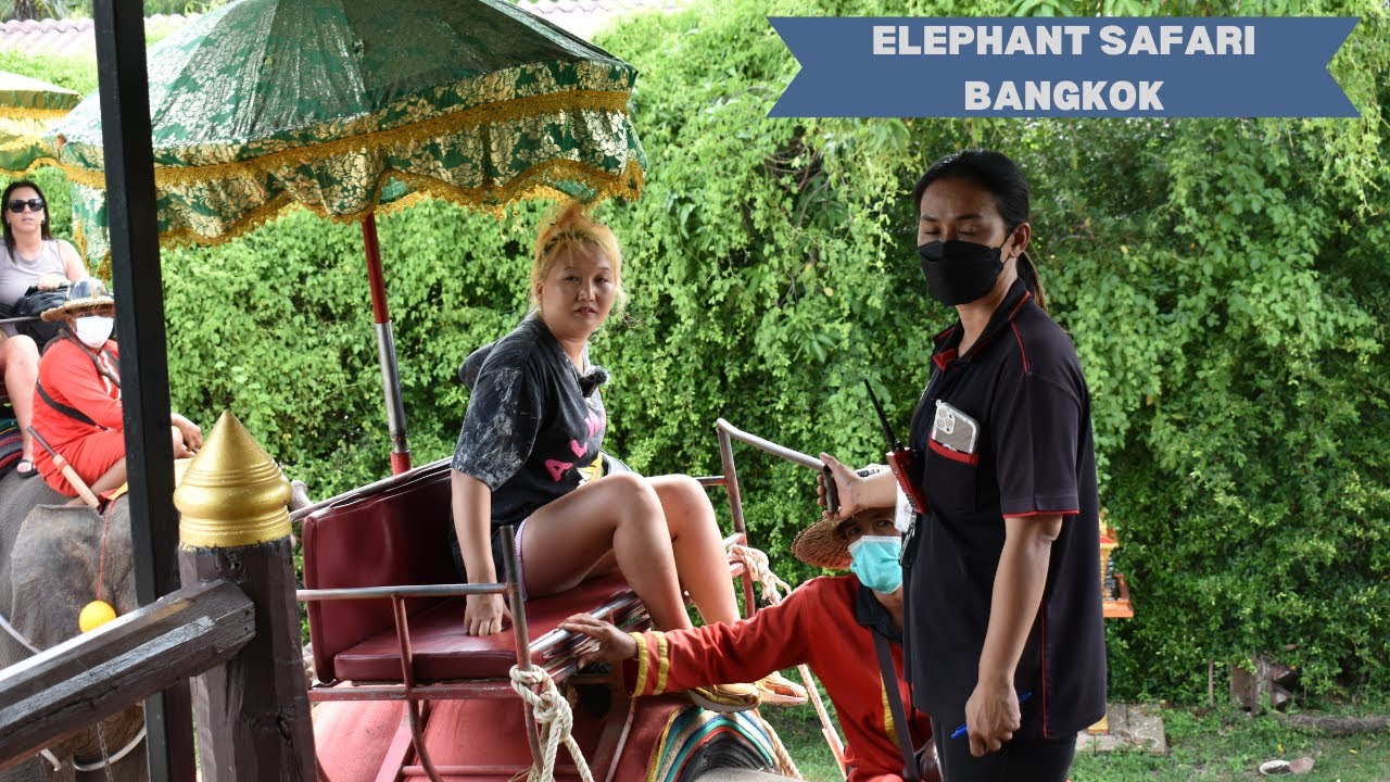 Elephant Ride Experience in Bangkok 🇹🇭 | Thailand Travel Vlog