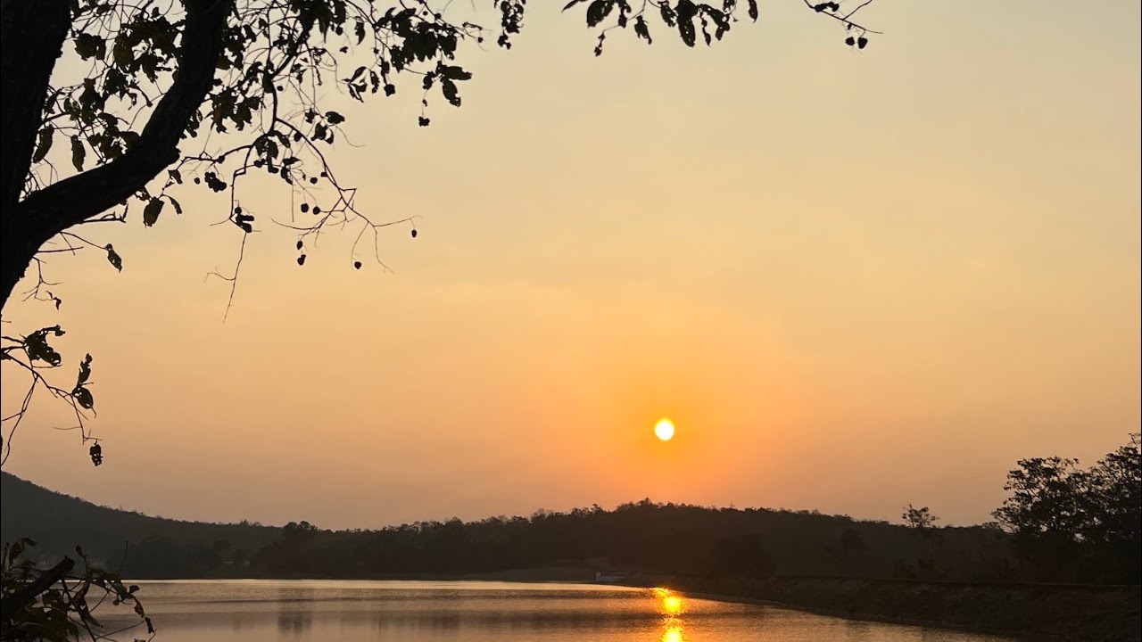 Nature has purity as Tulasi - Not Everyone Have It | MyAddiction 