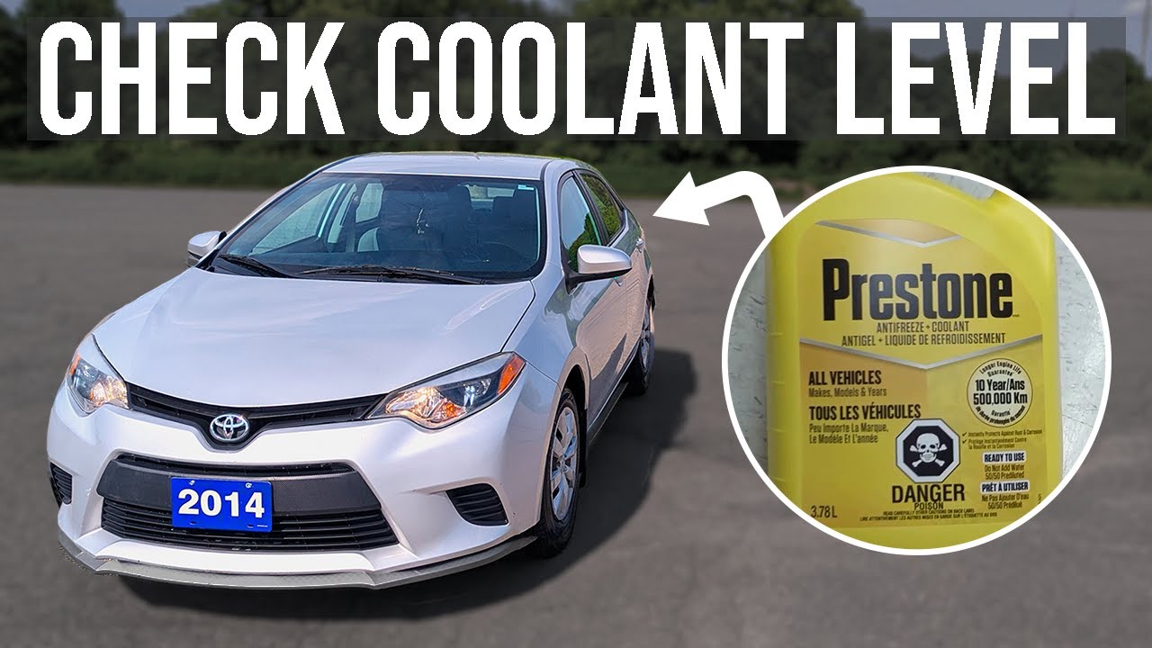 How to Check Coolant Level - Toyota Corolla (2014-2018)