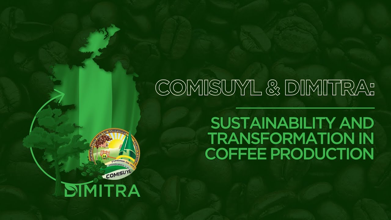 COMISUYL and Dimitra: Sustainability and Transformation in Coffee Production