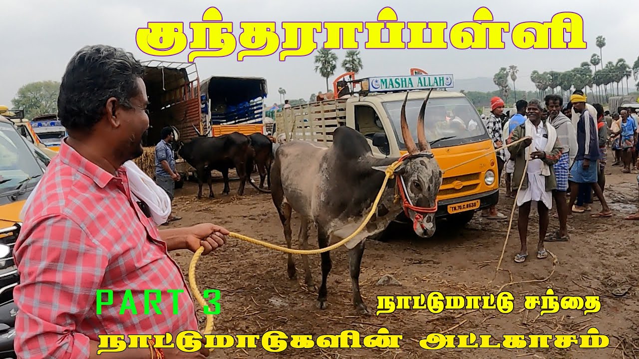 குந்தாரப்பள்ளி சந்தையில் கலாட்டகாளைகள் மற்றும் ரன்னிங் கன்றுகள் part 3 #ksvenkatvlogs