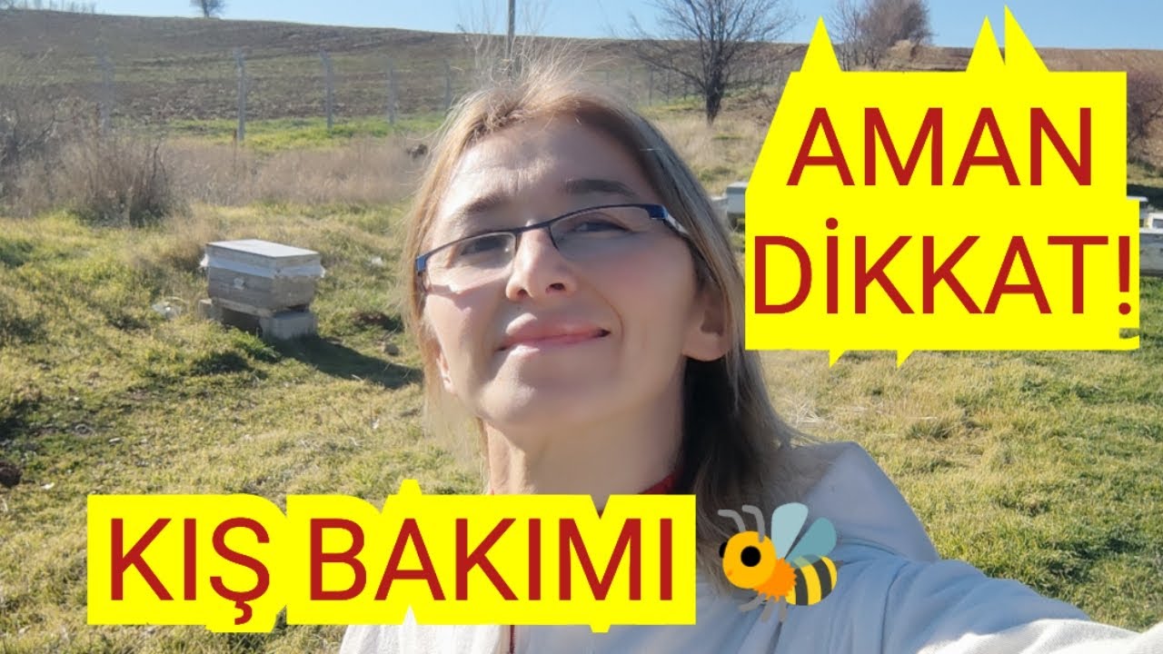 ARILARDA KIŞ BAKIMI 🐝UYGULAMALI ANLATIM 🐝BU VİDEO KAÇMAZ 🐝MUTLAKA İZLEYİN#arı #bee#arıcılık#yalvaç