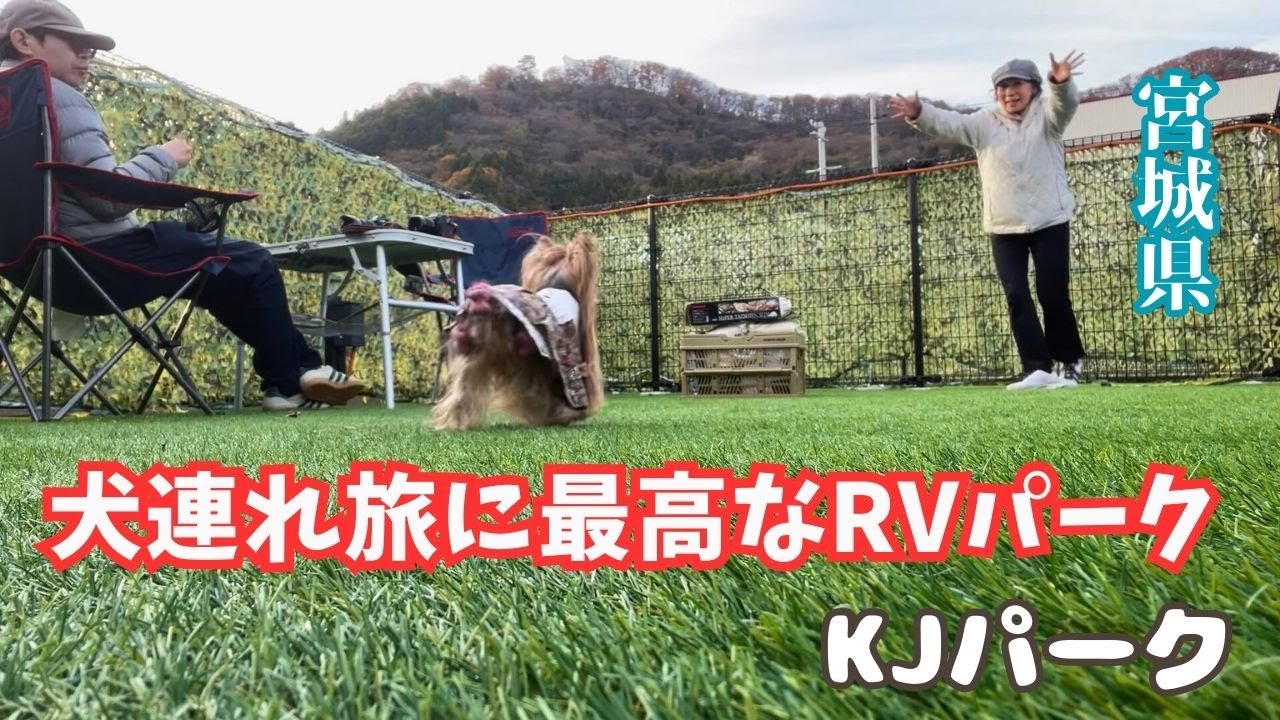 【宮城】犬連れに最高なRVパーク | KJパーク | ドックラン・ドックカフェ・トリミング  #181