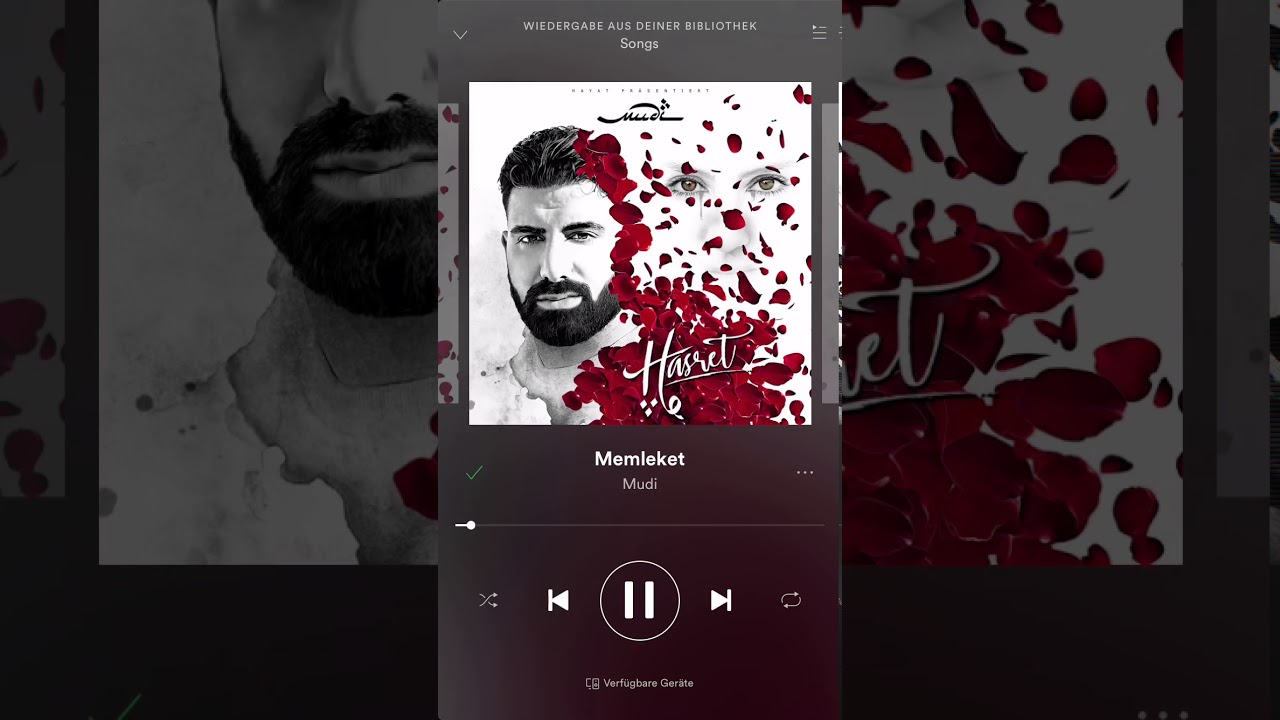 Mudi - Memleket | Original