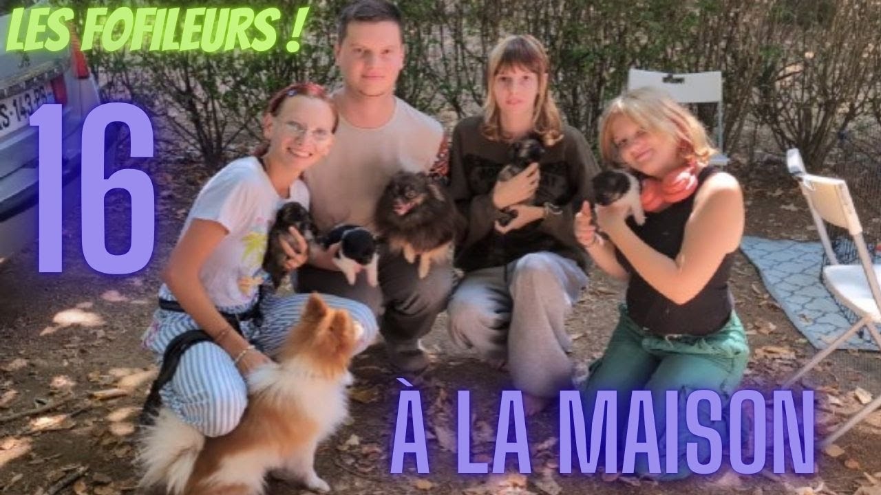Dinguerie , on est 16 à la maison !!!!