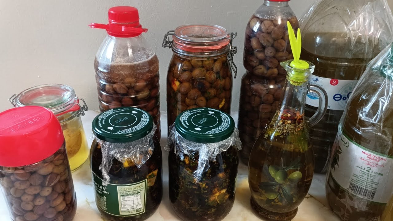 Petite récolte de mon olivier et fabrication de notre huile d’olive maison. 🌿🍈