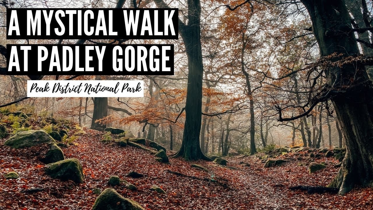 Mystical Woodland Walk in the Peak District | Padley Gorge and Longshaw