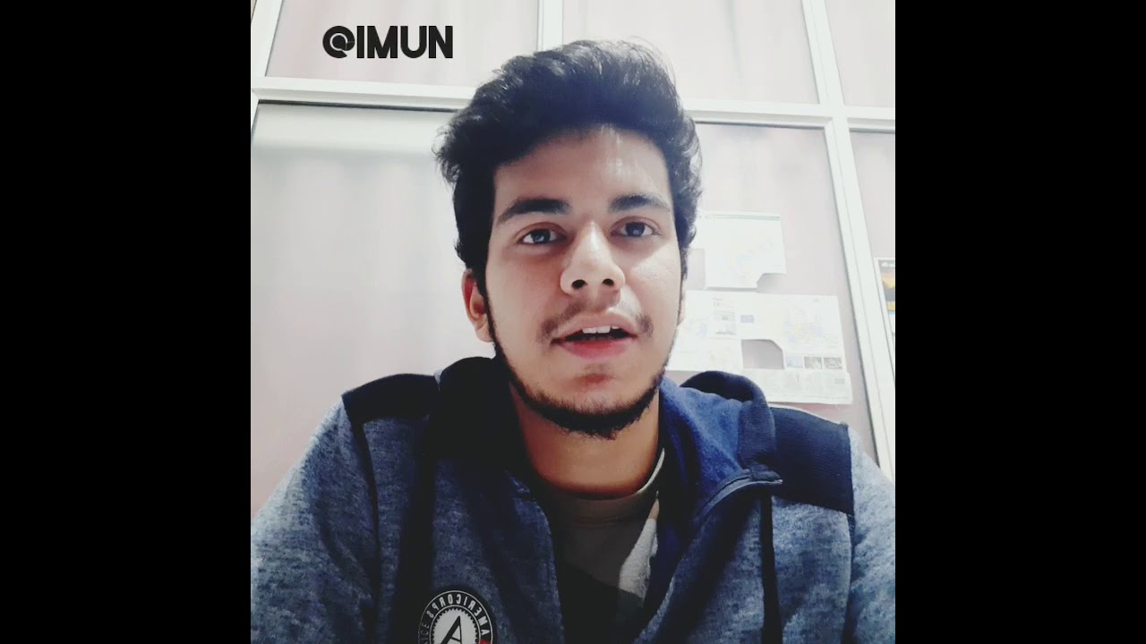 2021 IMUN Intern (All you need to know about IMUN Internship and conferences)