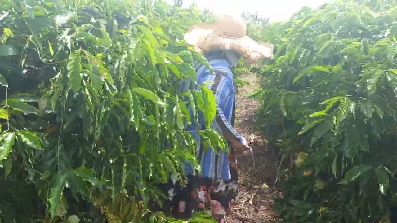 22 de fevereiro de 2026