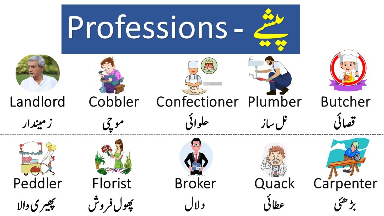 Professions Vocabulary in English and Urdu | Jobs and Occupations Names | AQ English