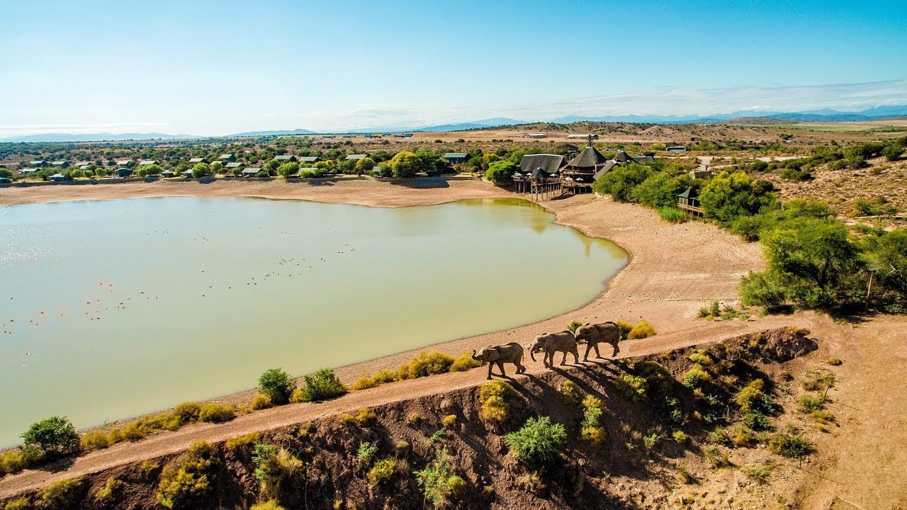 Witness South Africa's Wildlife on a Western Cape Safari - 2 day tour