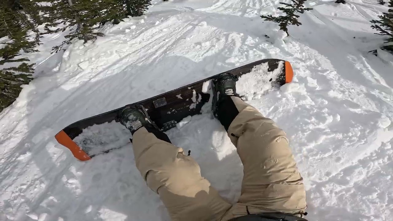 Snowbird snowboarding January 2026 4