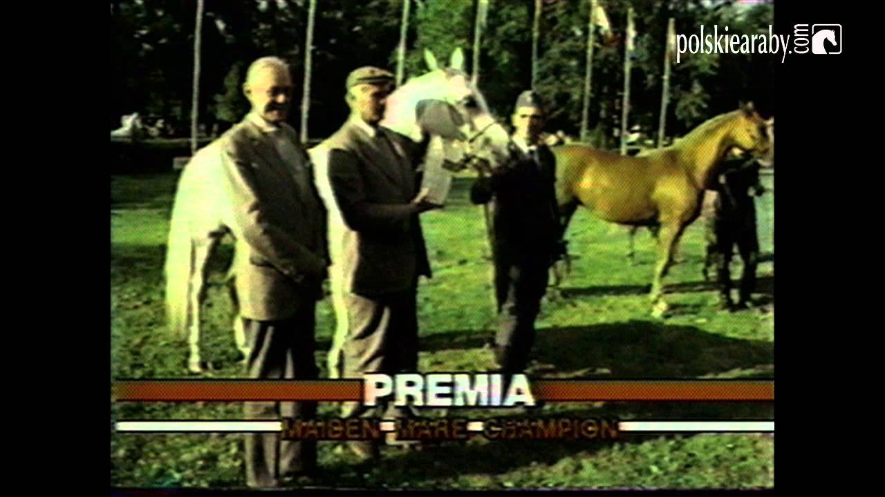 Arabian Horse Video Magazine: Polish Nationals 1985 / Pokaz Narodowy 1985