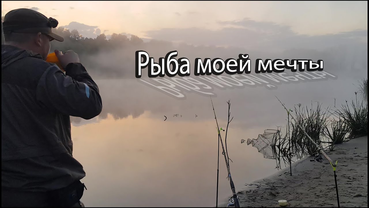 Ночная охота на леща и не только! Попался МОНСТР!