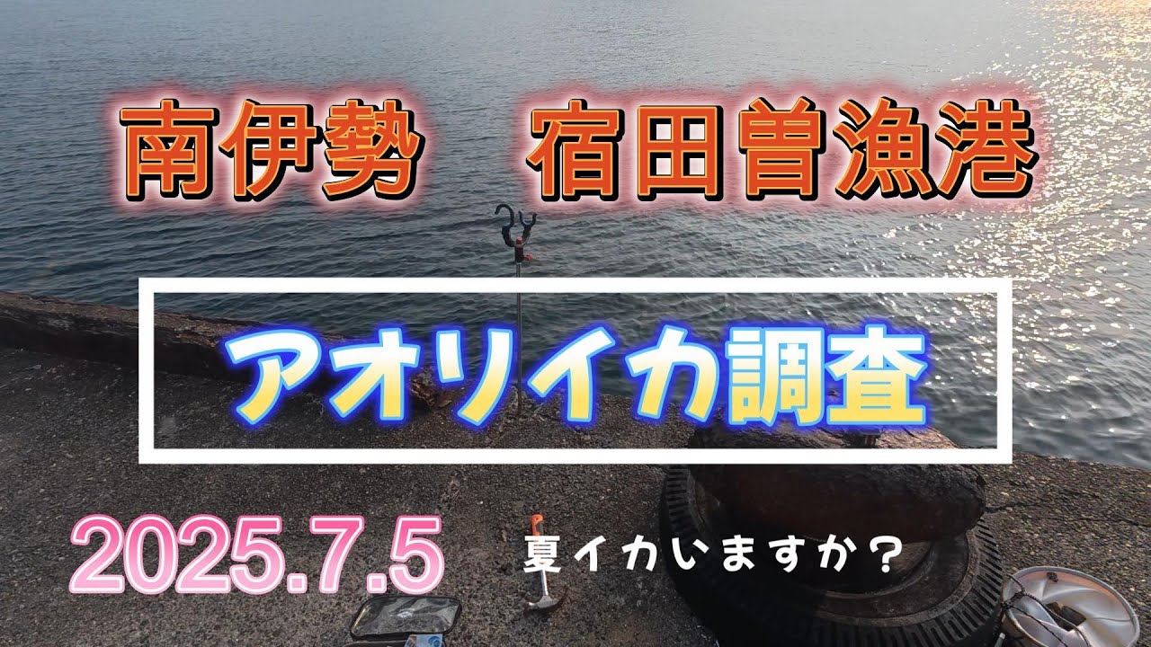 【宿田曽漁港】アオリイカ調査