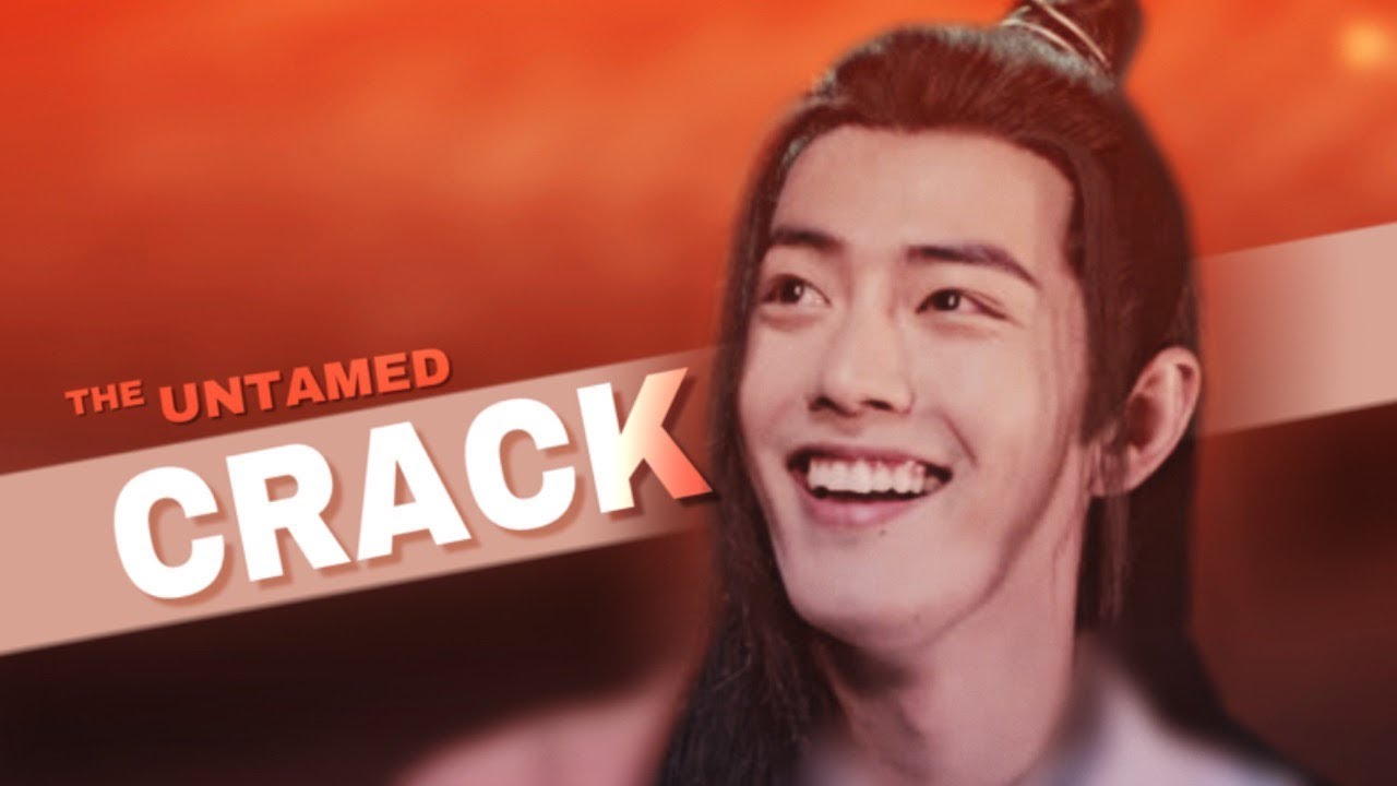 the untamed_陈情令_crack