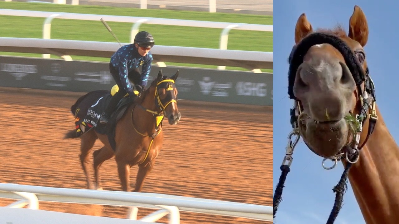 アタック！地方競馬｜第359回｜いざサウジダービーへ！　ベストグリーン｜NAR公式