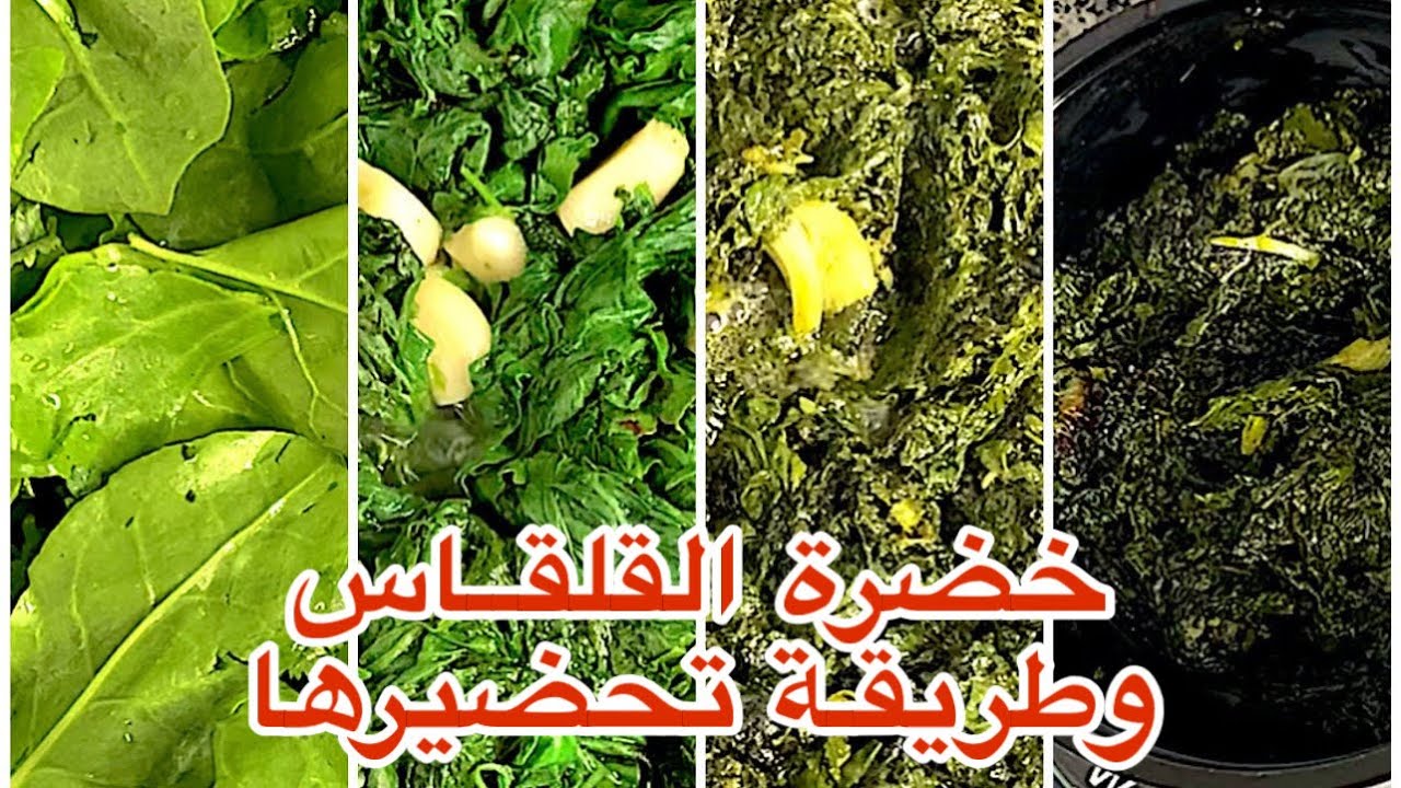 خضرة القلقاس وطريقة تحضيرة وتفريزه واسرار نجاحه
