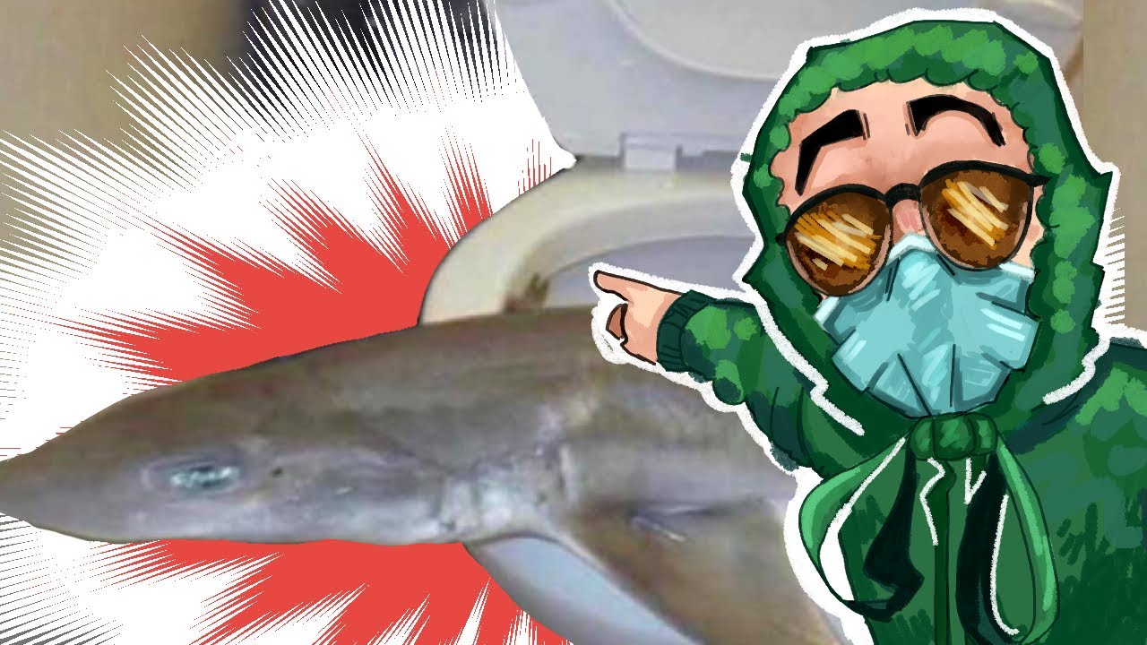 The President Is Back! | Kwite Looks at Your Nasty Bathrooms