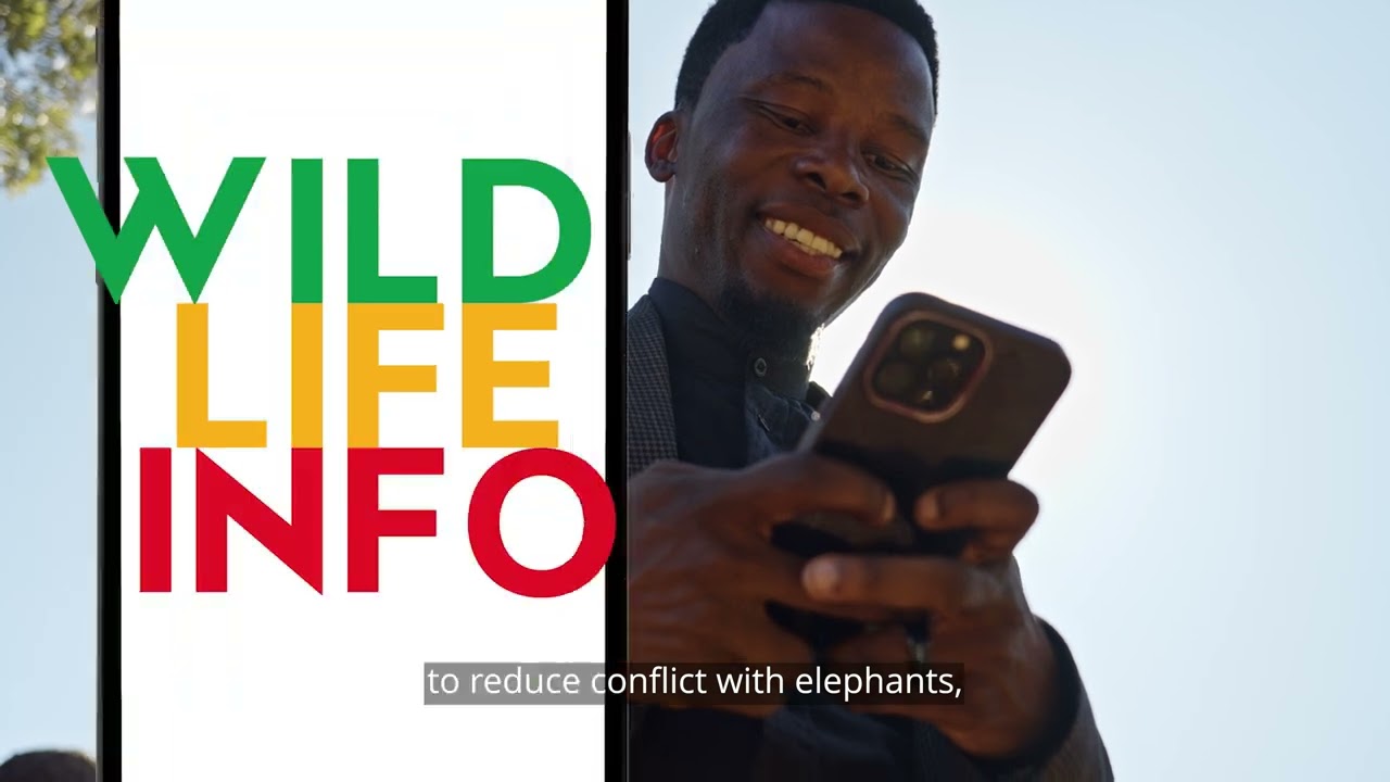 Zimbabwe's elephants are iconic! But living close to them can come with challenges.