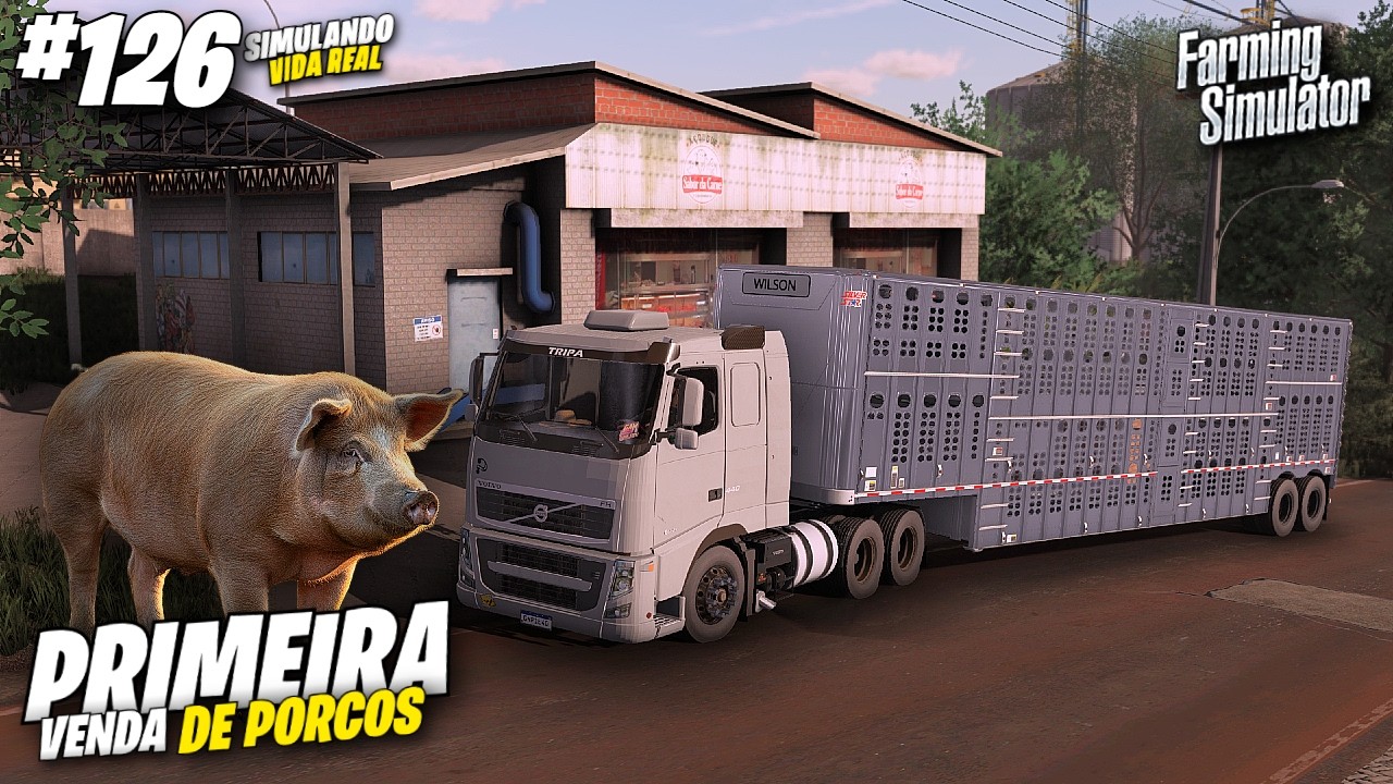 Não Crie Porcos Antes De Ver Esse Vídeo!! | Farming Simulator 22 | Fazenda Madureiro #126