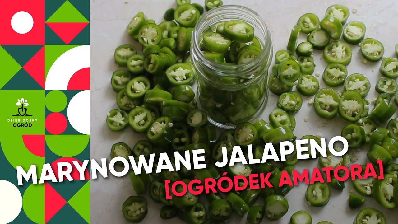 Marynowane papryczki jalapeno - przepis