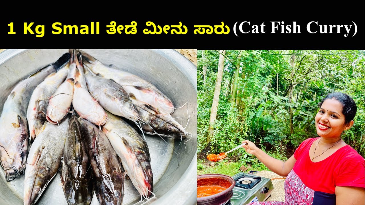1 kg ತೇಡೆ ಮೀನು ಸಾರು(Spicy & Tangy) | Cat Fish Curry Mangalore Style | Mangalore Recipes