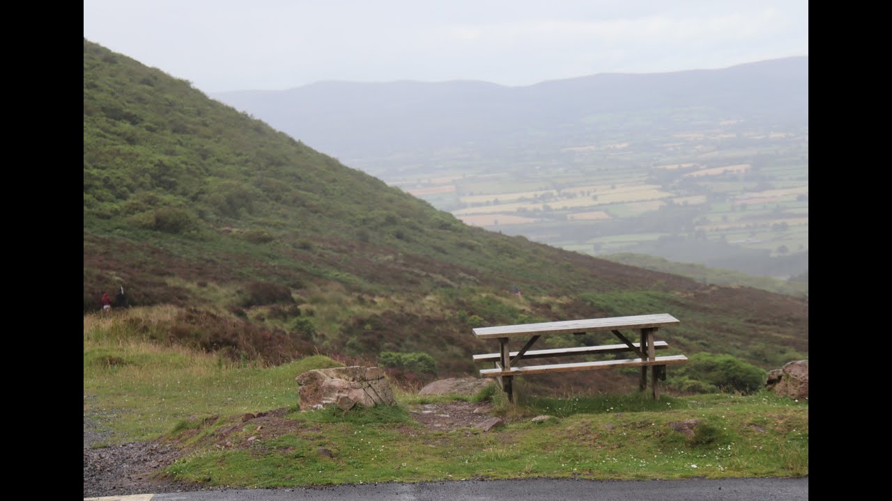 What,s a mountain without Mountain dogs.