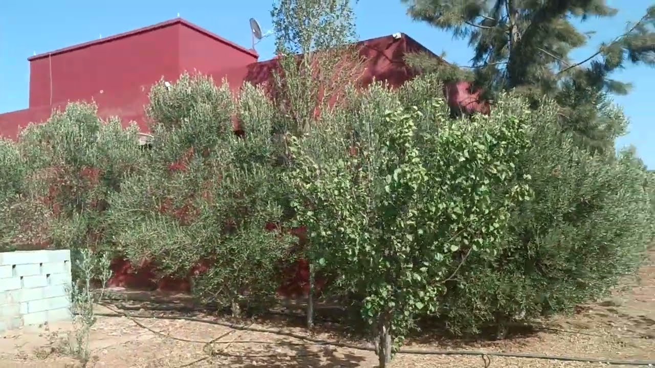 0661467850☎️فيرمة🌲🌱📳 رخيصة بزااف هوتا نواحي بن سليمان