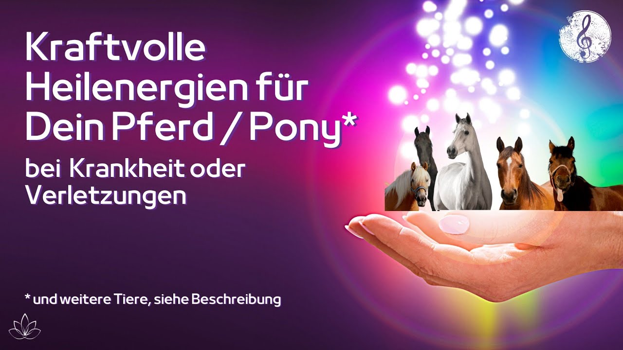 Heilenergien für Pferde | Immunsystem & Selbstheilungskräfte stärken | Krankes Pferd | Verletzungen