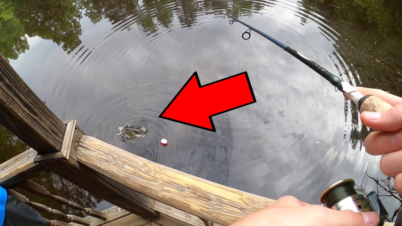 Fishing for MONSTERS with 3 other YouTubers!!!