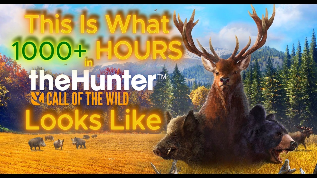 THIS Is What 1000+ Hours In CotW Looks Like