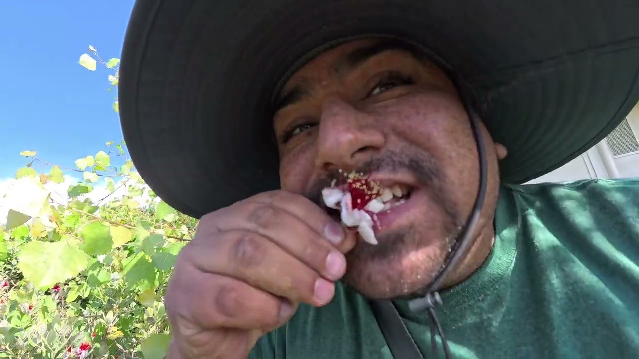 Pineapple Guava Flower Taste Like Marshmallow With Francisco Meza ( Edible Flowers )