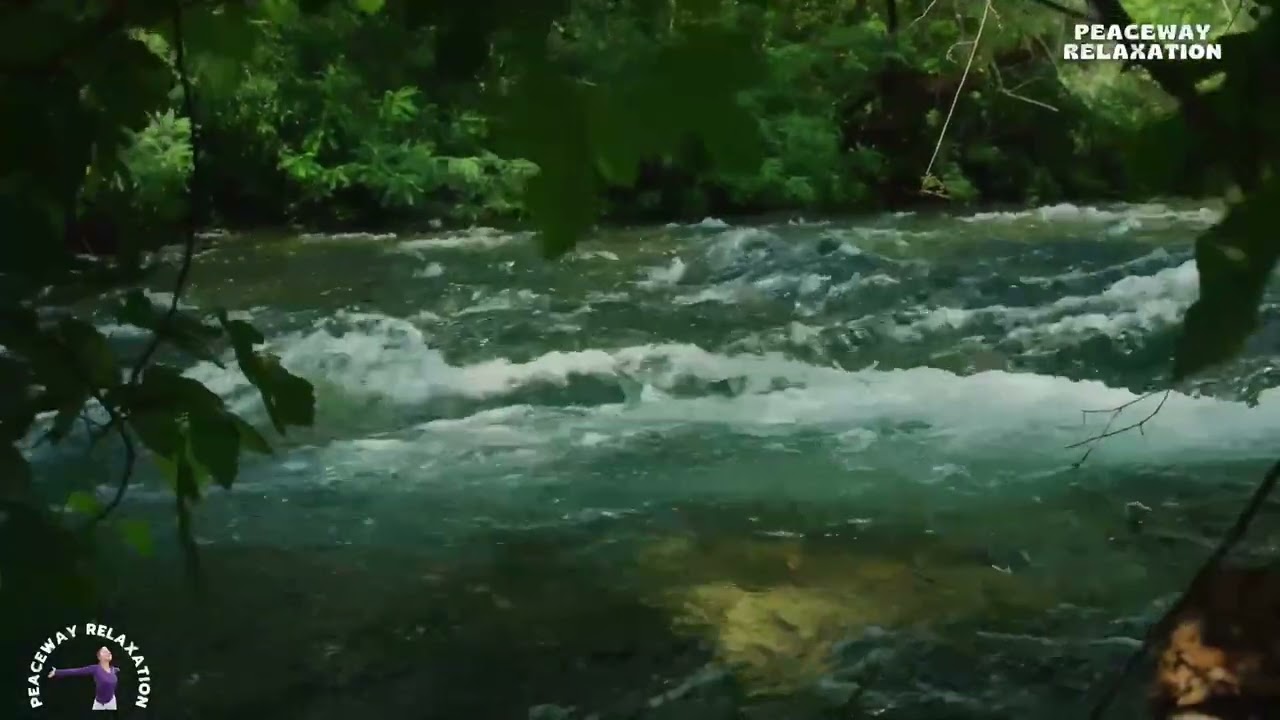 FAST FLOWING FOREST RIVER IN A LUSH GREEN PARADISE | RELAXING NATURE SOUNDS IN 4K