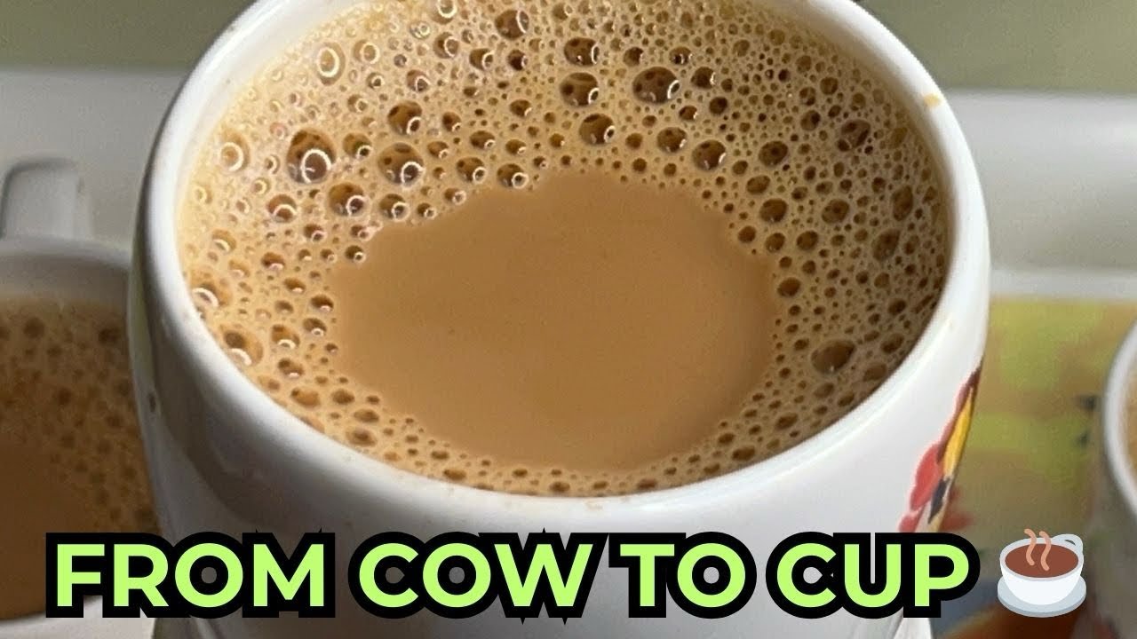 Fresh Cow Milk Tea | Village Style Ginger Cardamom Tea | Homemade Chai Recipe