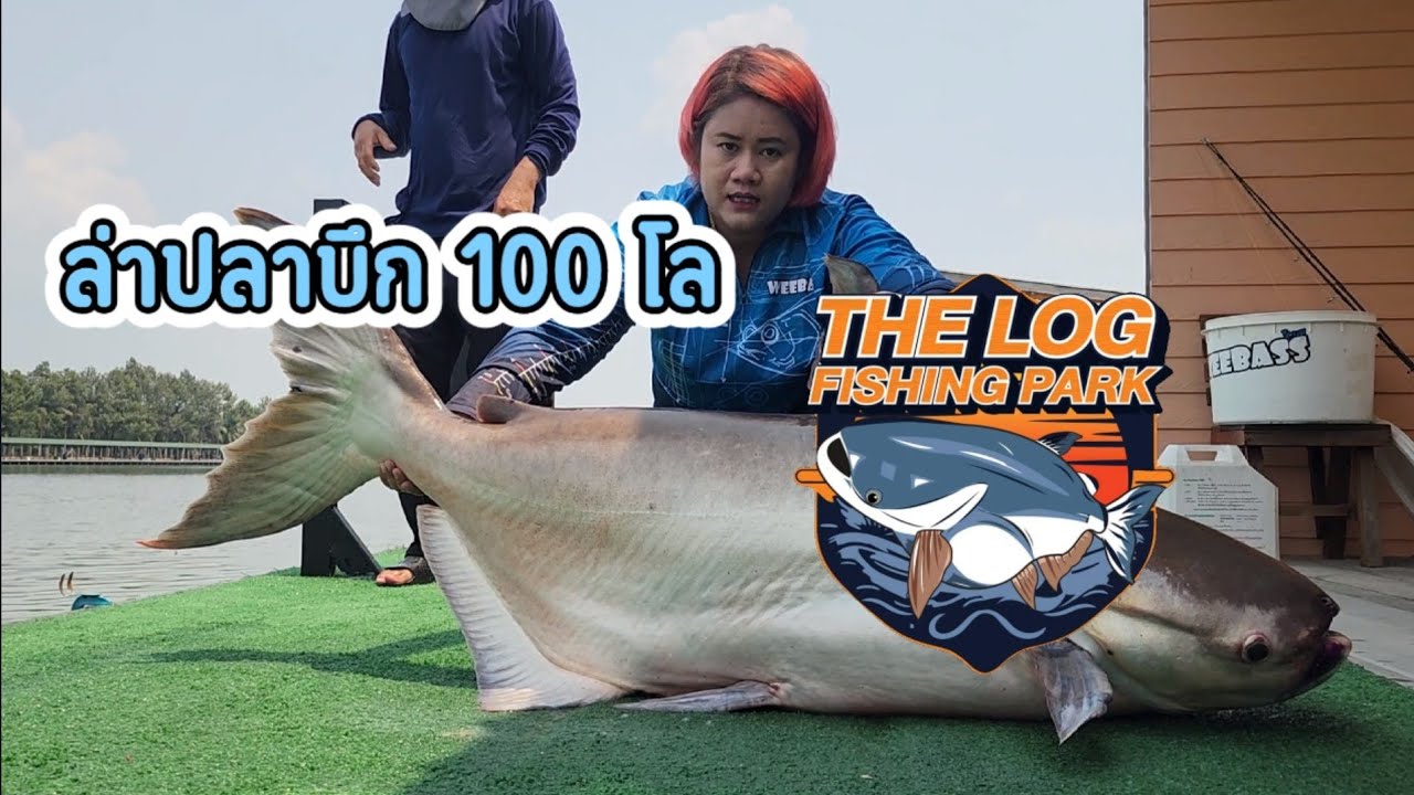 25. Прямая трансляция фильма «Парк для рыбалки на бревне»/«Семья застряла в пруду»