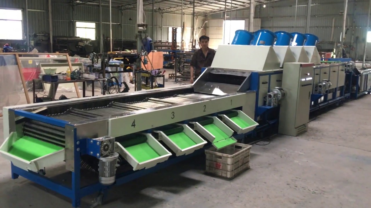 Dates washing and sorting machine