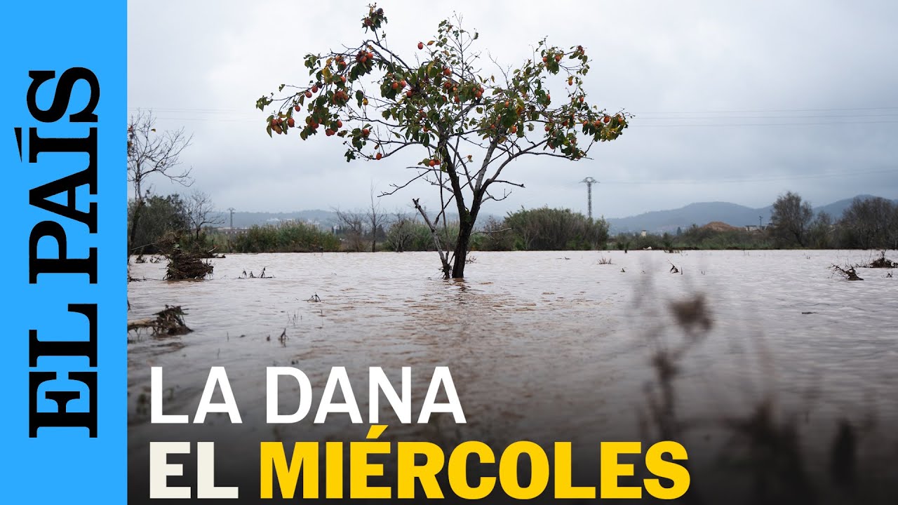 DANA EN VALENCIA | Imágenes de las inundaciones en la mañana del miércoles | EL PAÍS