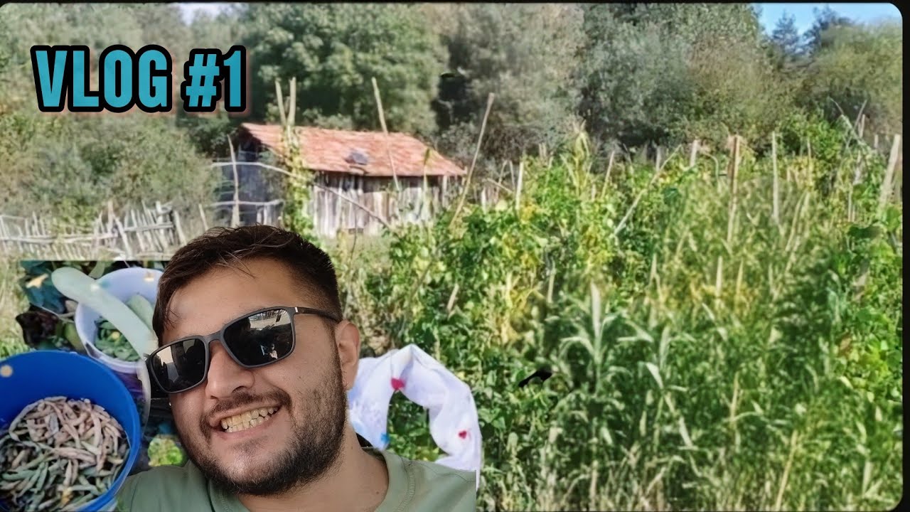 BAHÇEDE DOMATES FASULYE VE KABAK VLOG #1