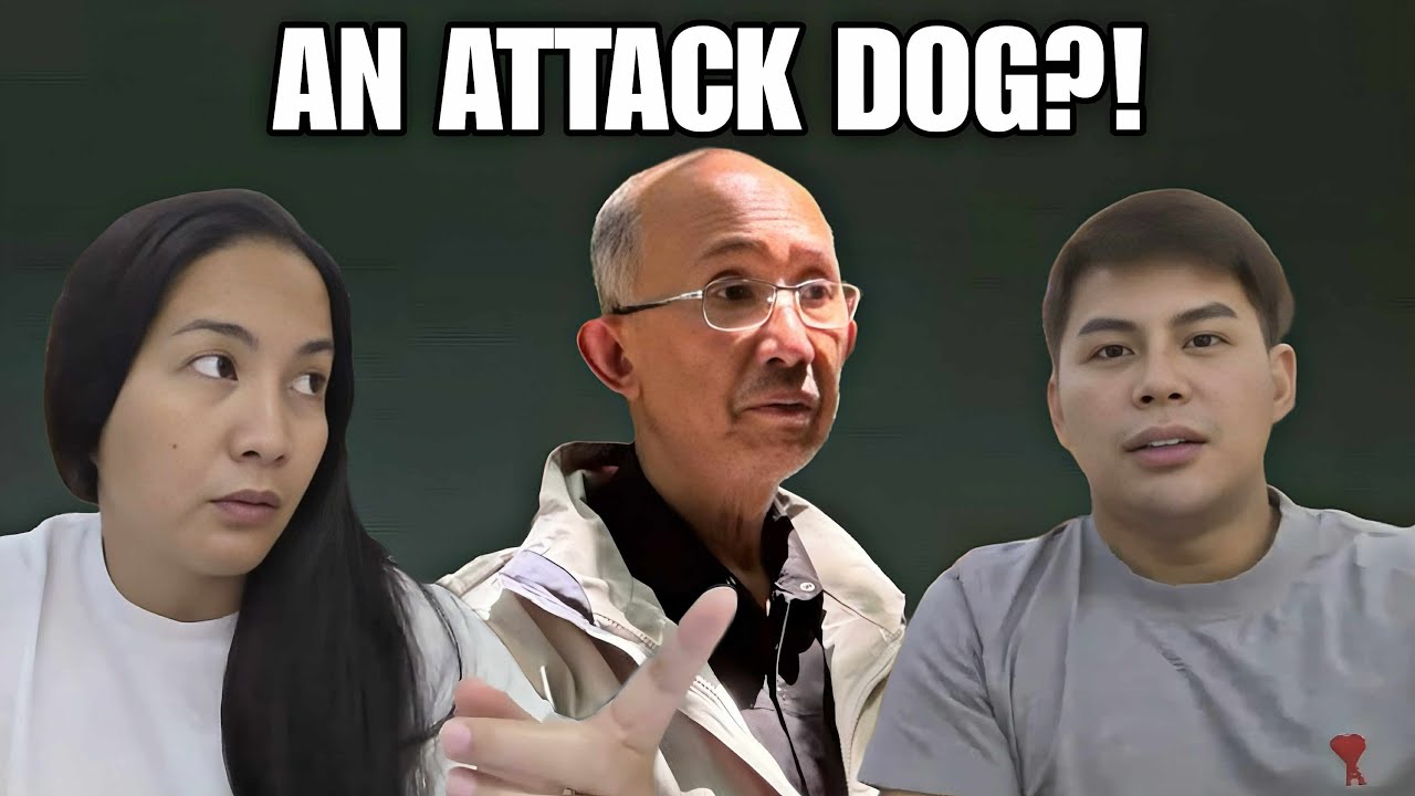 Mayor Magalong is an attack dog -Tio Moreno