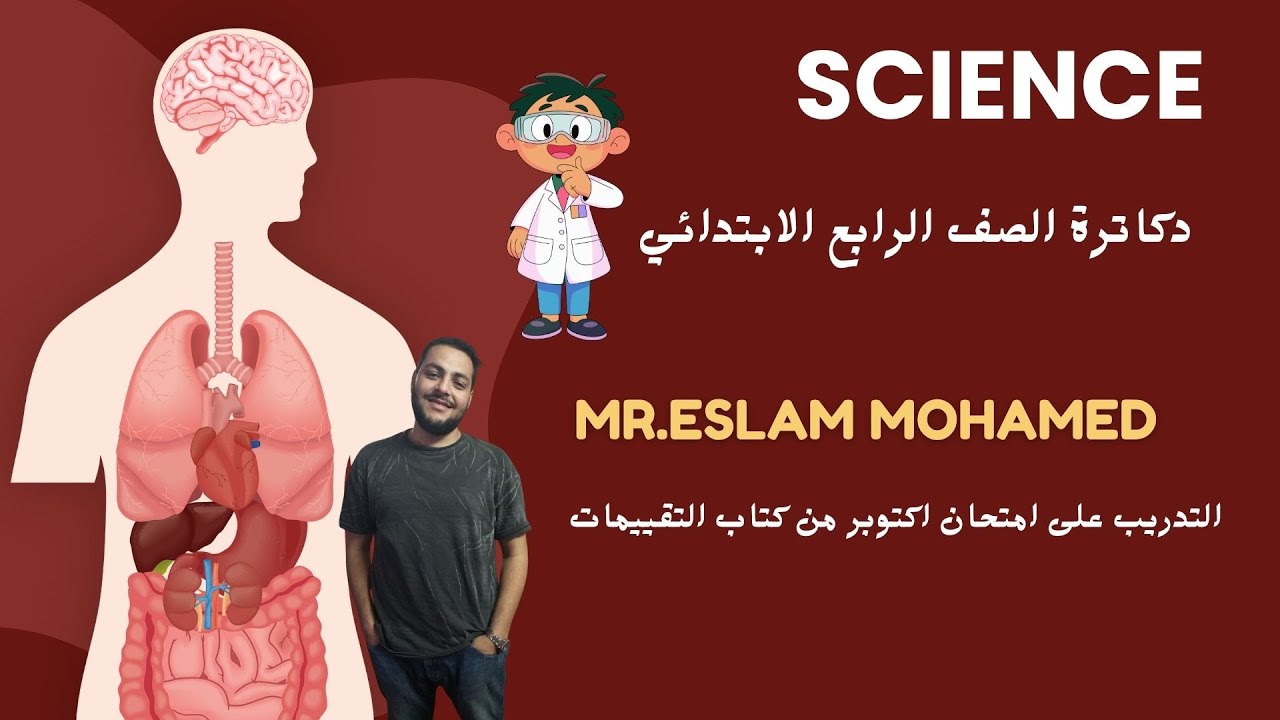 أقوى مراجعة لامتحان شهر أكتوبر 4 ابتدائي (من كتاب التقييمات) | شرح ممتع وفيديوهات لكل سؤال