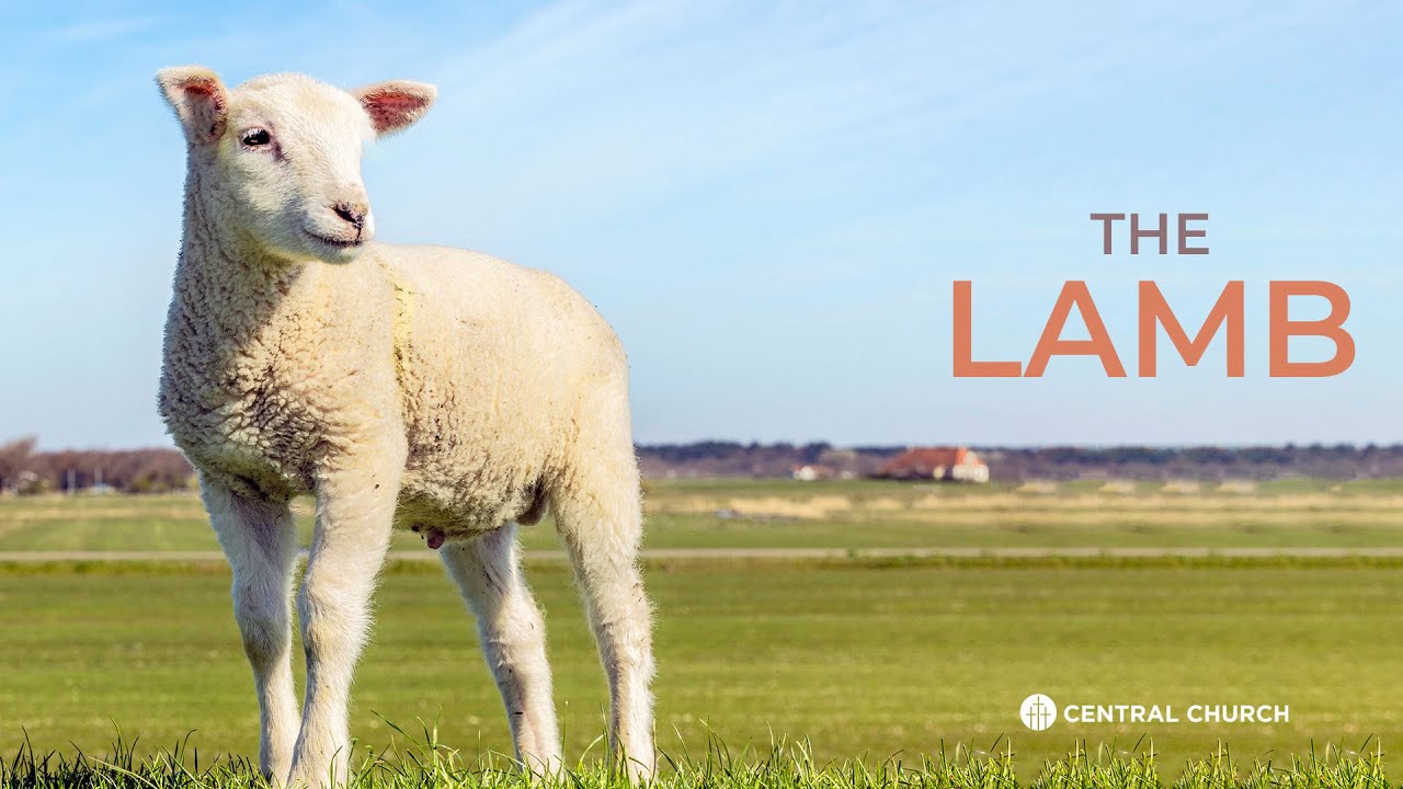 May 4, 2025, 10:30 AM The Lamb #centralchurchnc  Live Stream
