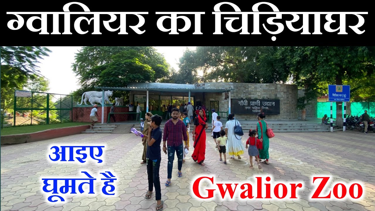 Gwalior Zoo |  ग्वालियर चिड़ियाघर | Gwalior Zoo Madhya Pradesh