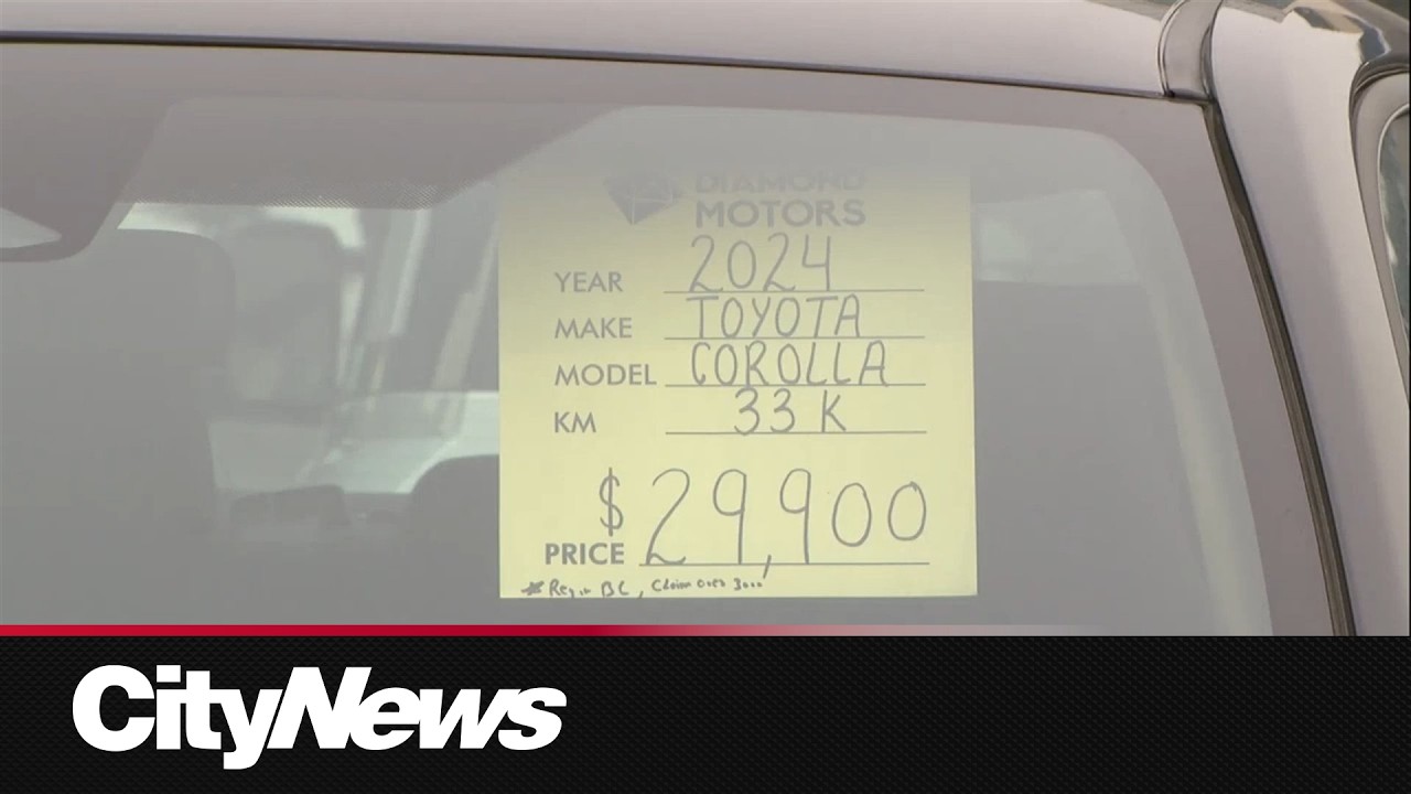 Alberta has the most expensive average used vehicle sales in Canada: report