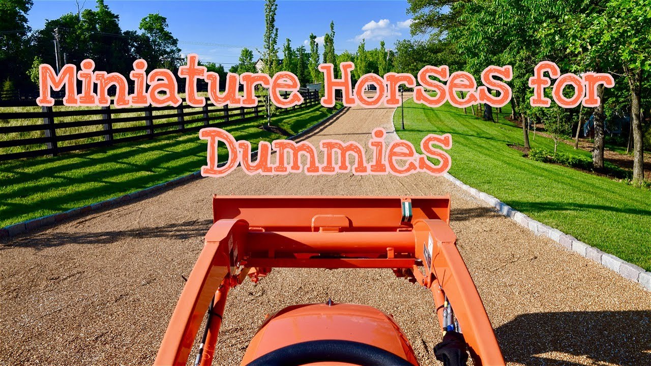 Miniature Horses for Dummies Seminar - The Nuts and Bolts
