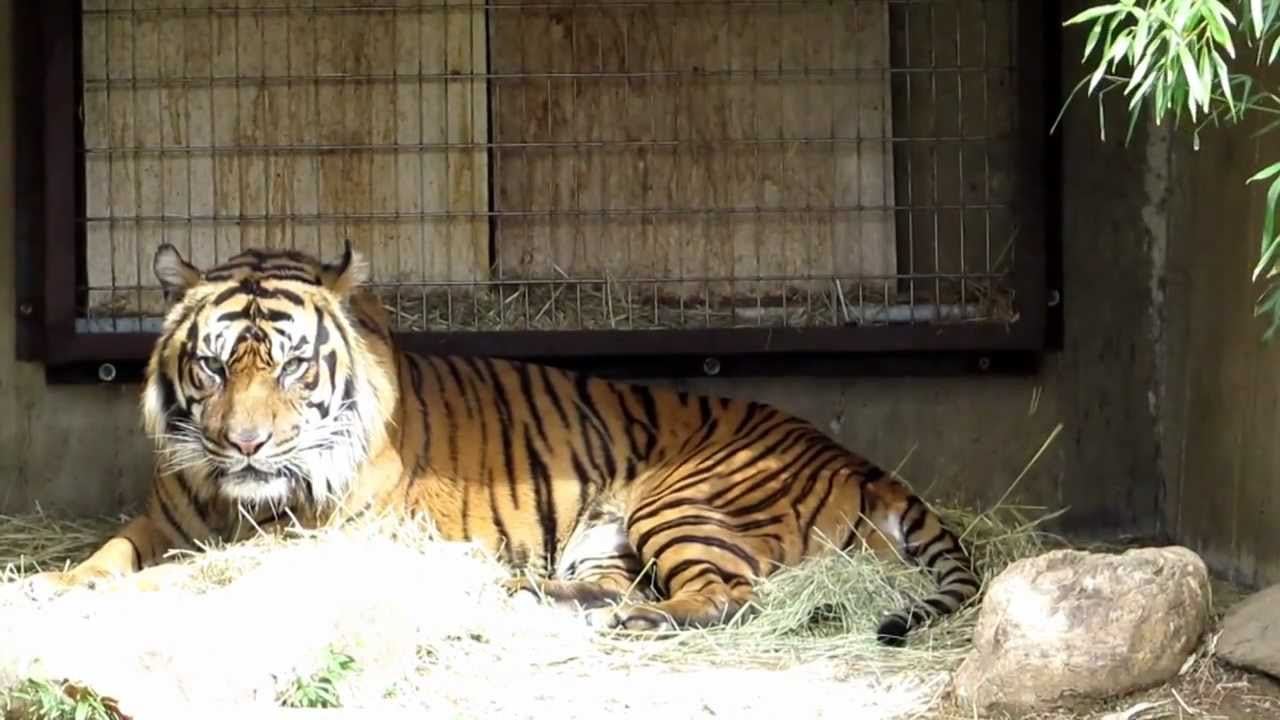 Smithsonian National Zoo