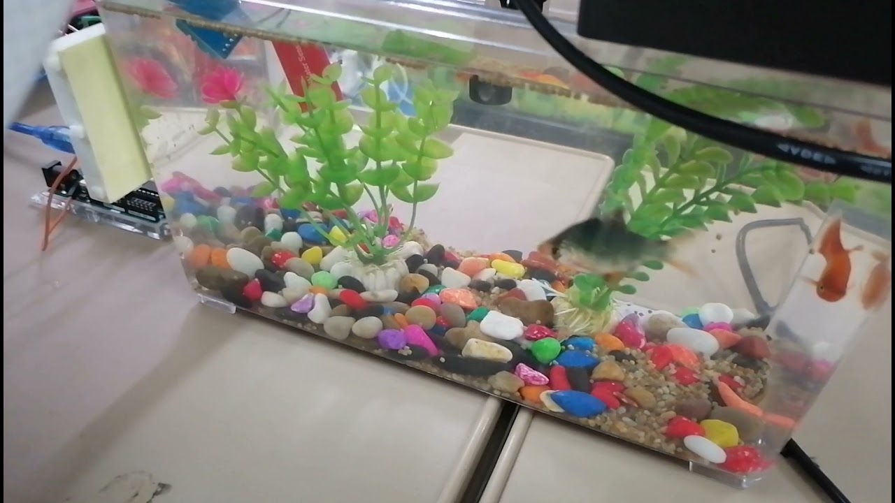 Smart Aquaponic System