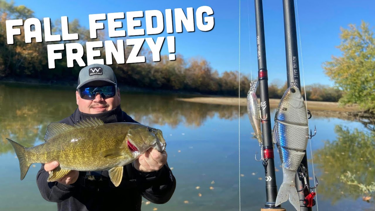ABSURD Fall Feeding Frenzy on the Great Miami River!