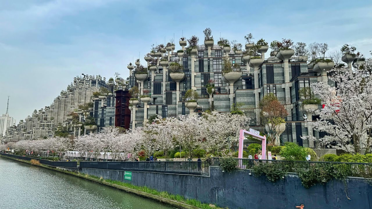 Exploring Shanghai's 1,000-Tree Building During the Cherry Blossom Festival 🌸