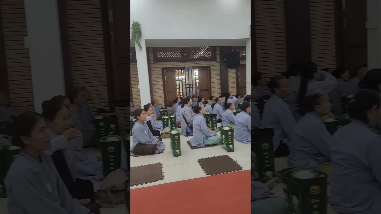 xuất gia geo duy&ecirc;n ch&ugrave;a Hưng Thiền, CL, Đồng Th&aacute;p #xuatgiagieoduyen